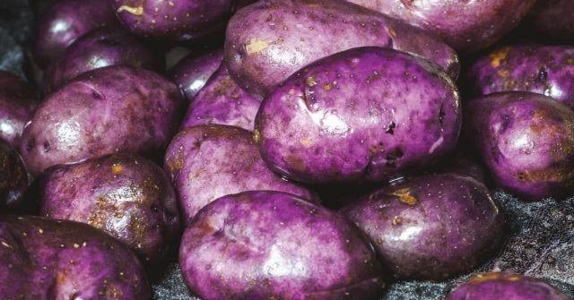 Kartolên mor berxwedana bedenê xwurt dikin