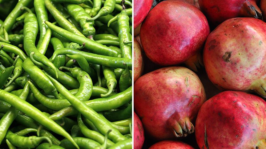 Rûsya ji Tirkiyê kirîna hinar û îsotan da rawestandin