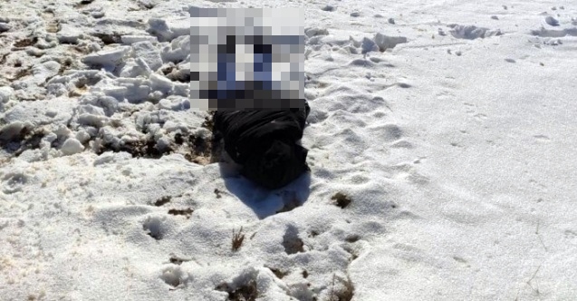 Wan | Di 3 salan de 160 kes di rêya penaberiyê de mirin