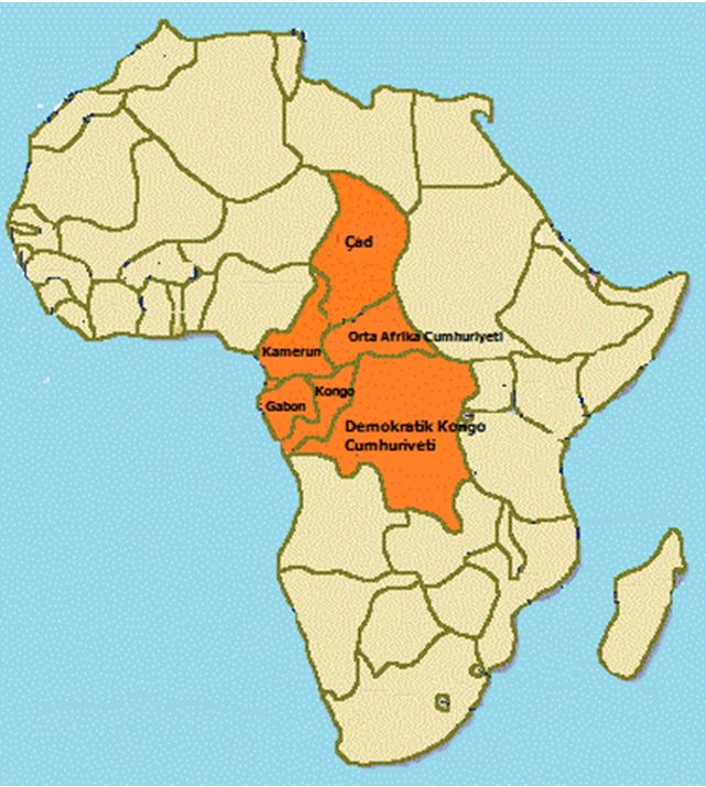 NY desteserkirina 4 leskerên Fransayê sermezar kir