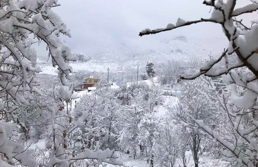 Kesnasiya Kurdistanê: Li bilindahiyan barîna berfê wê bidome û pileya germê jî dikeve...