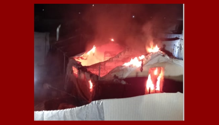 Li Kampa Holê sewat: 4 konên malbatên DAISê sewitîn