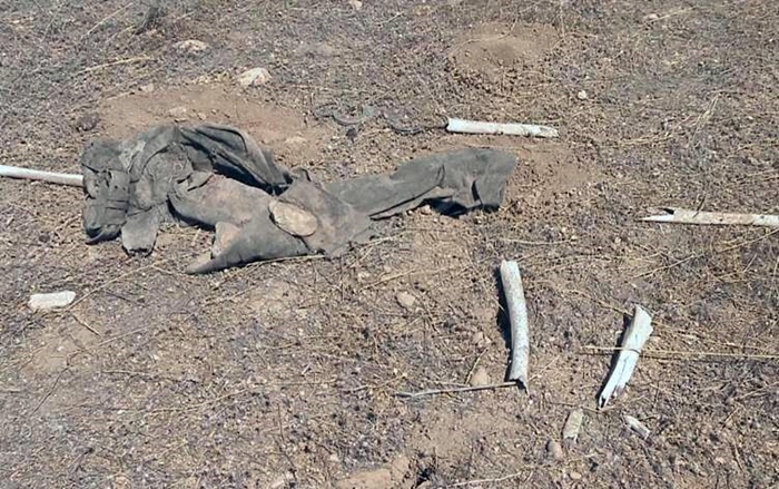 Li Singalê goreke din a komî hat dîtin