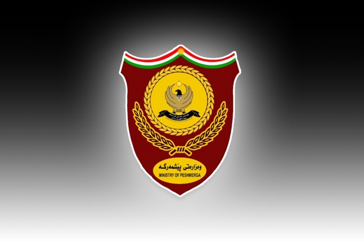 Pêsmerge 3 biyaniyan ji PKK ê rizgar kir û wan teslîmê konsulxaneyên wan kir