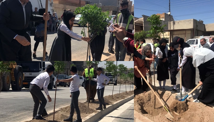 Li Hewlêrê bi çandina daran roja Jîngeha Kurdistanê hat pîrozkirin