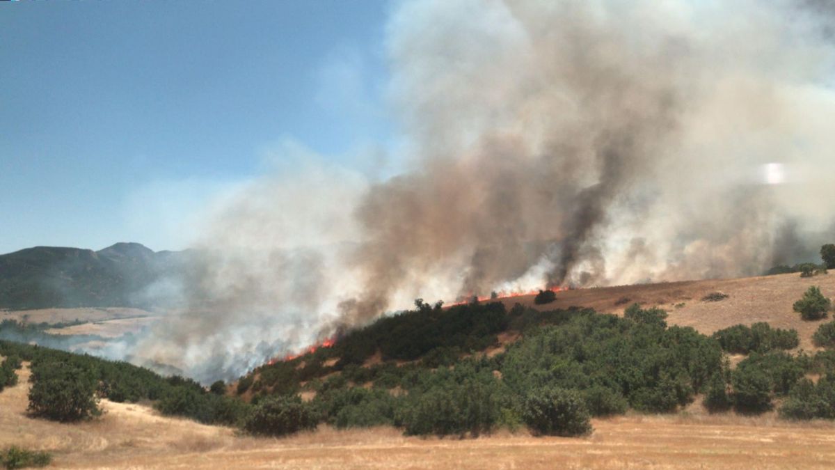 Li Çapaqçûrê car din agir bi daristanê ket