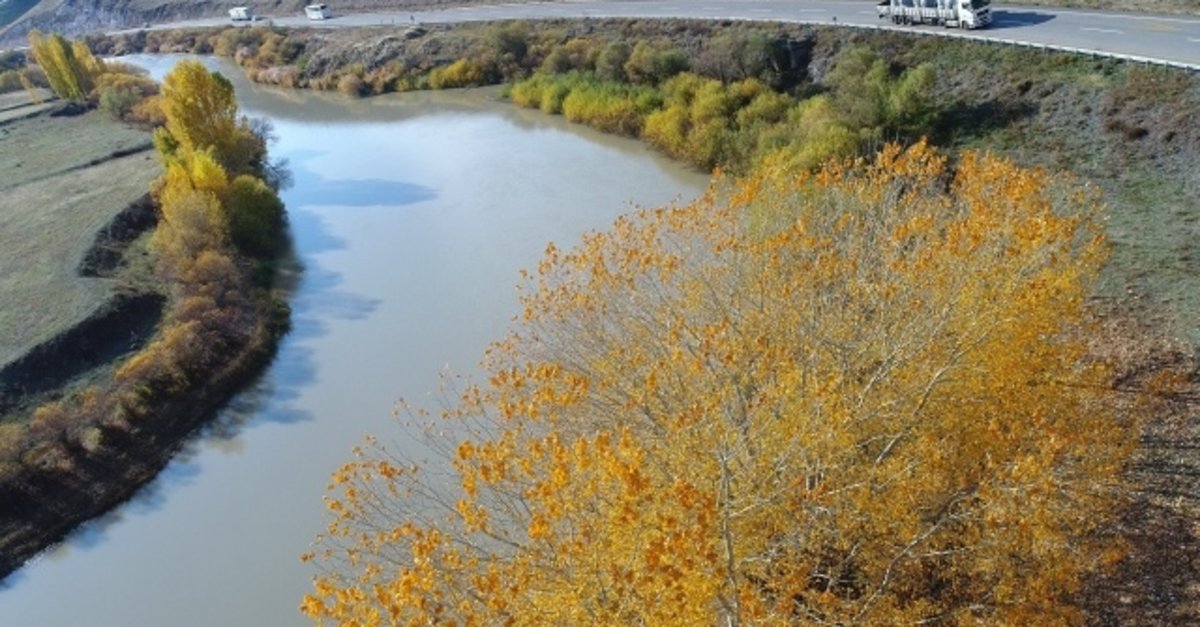 Dê xwest kurê xwe rizgar bike lê ew di Çemê Erez de fetisî