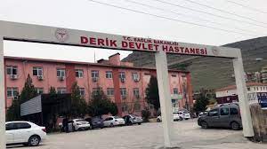 TIR a frêna wê teqiya li du erebeyam xist û wergeriya: 8 mirî û gelek birîndar hene