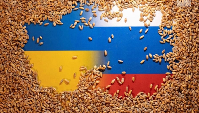 Tirkiye: Sê kestiyên genimê Ukraynayê berê xwe dan bazarên cîhanê