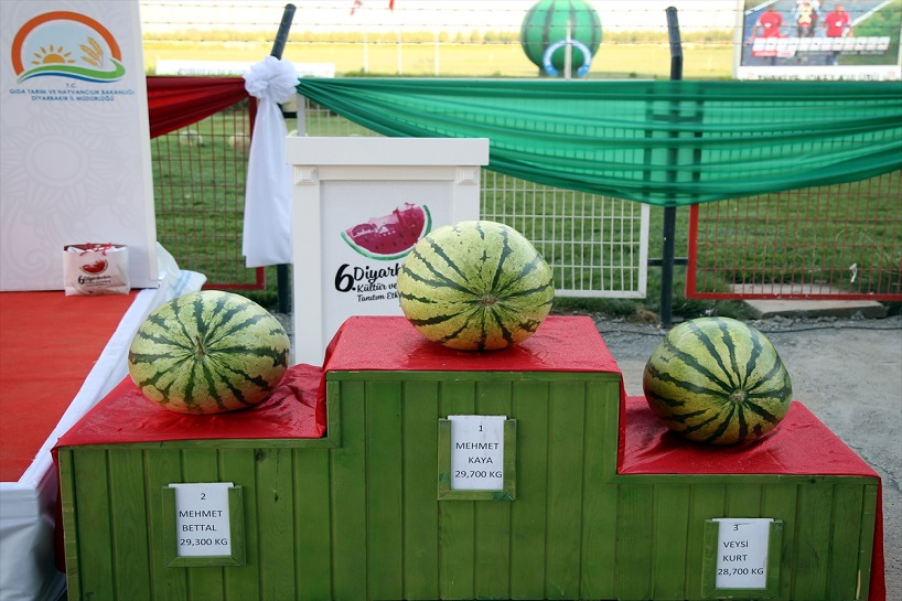 12emîn Festîvala Zebesê Amedê 21ê Îlonê tê lidarxistin