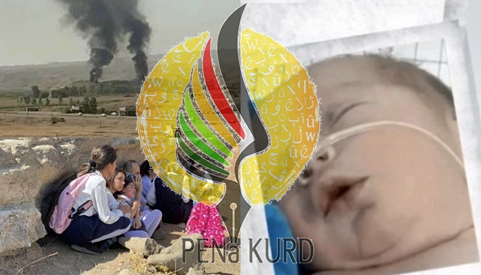 PENa Kurd: Rejîm dixwaze tola serhildana seranserê Îranê ji Kurdan hilîne