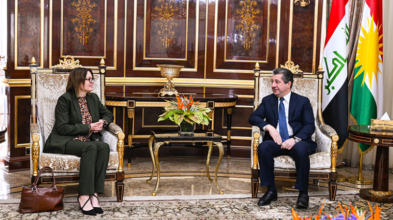 Serokwezîr Barzanî, Balyoza Swêdê pêswazî kir