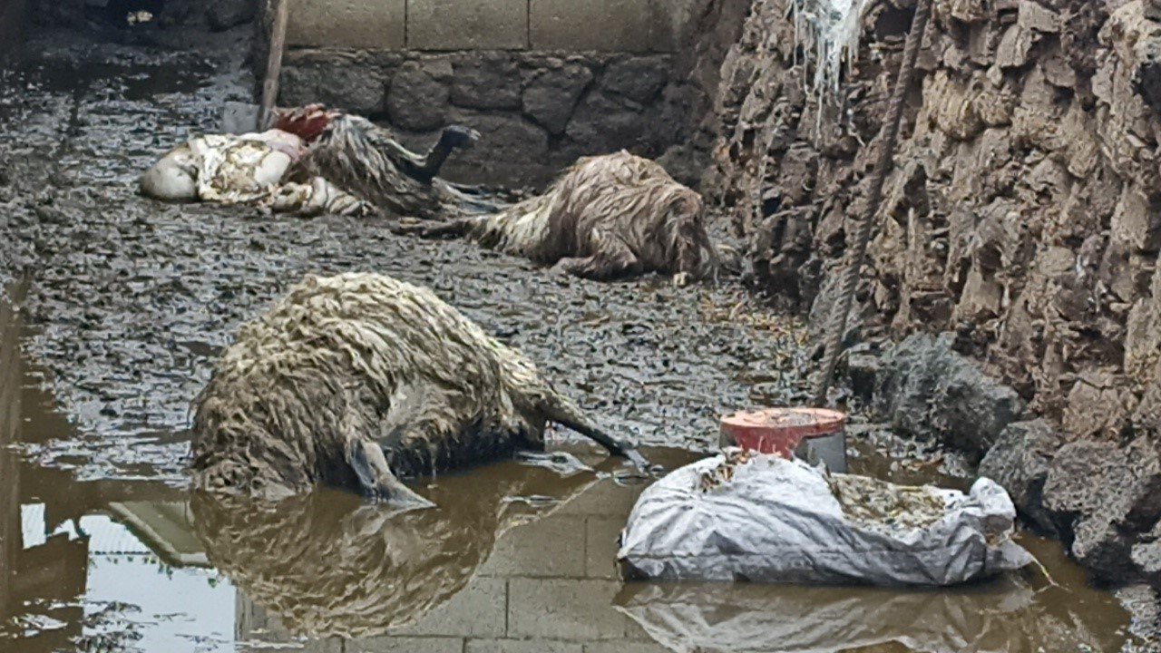 Gur ket axwurê, 6 miyan xeniqand û 7an birîndar kir