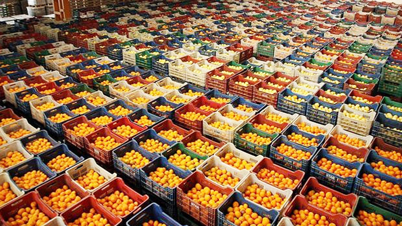 Îxracata Tirkiyê ya meywe û sebze di 3 mehên ewilî yên salê de %60 zêde bûye