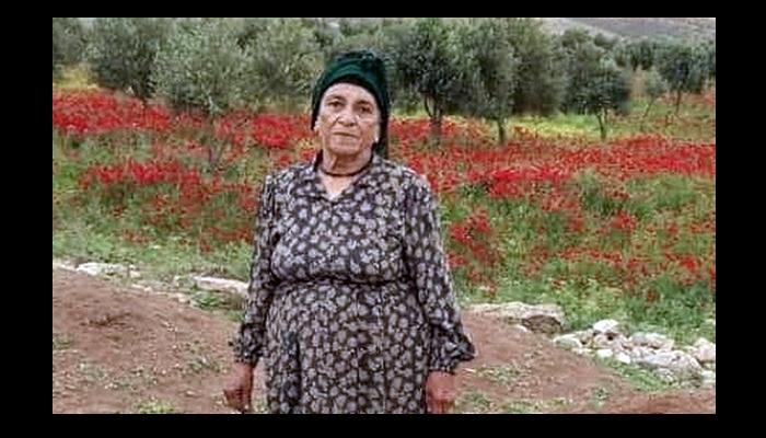 Li Efrînê pîrejineke Kurd a 70 salî ji aliyê çekdaran ve hate kustin