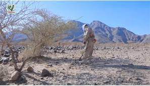 Li Yemenê di wexta paqijkirina mayînan de 2 pispor mirin