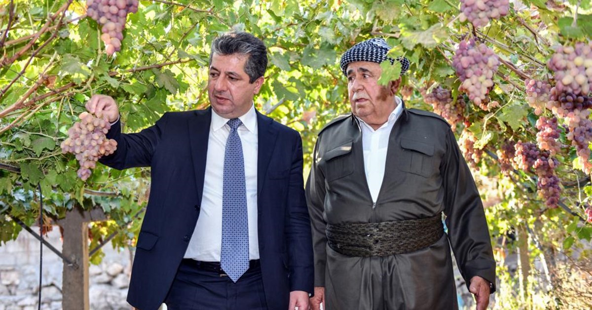 Mesrûr Barzanî: Cotyarên Kurdistanê dest bi perwerda çandiniyê kirin