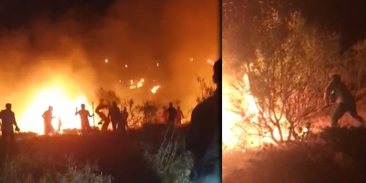 Li ser sînorê Diyarbekir-Rihayê agir bi daristanê ket