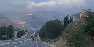 Li navça Akçadaxê agirê daristanê giha jîngehan