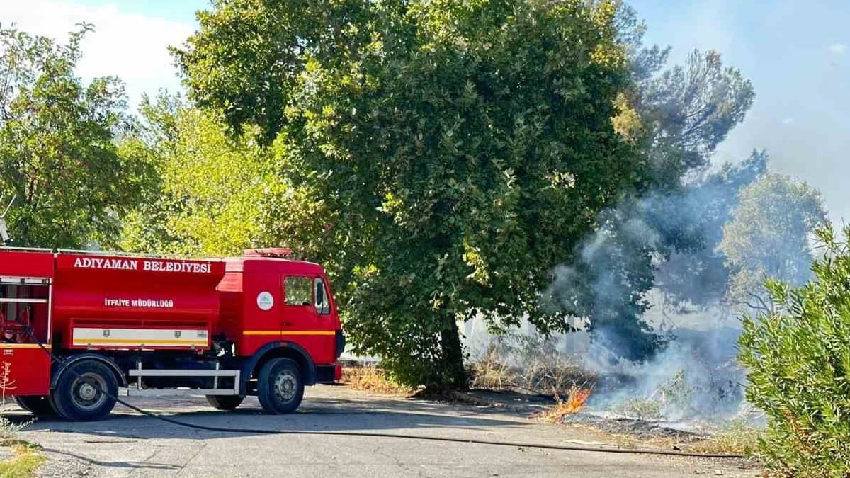 Ji ber qaynaxê agir bi giya ket û bi firehî belav bû