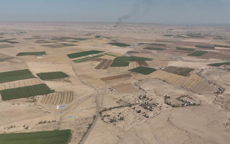 Li navça Xaneqînê desthilatên Ereb 38 gundên Kurda vala kirine