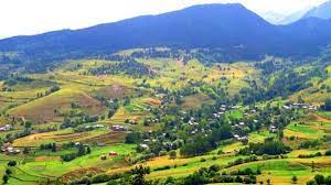 Li Savsatê li ser arazî 3 xwusk û bira hatin kustin