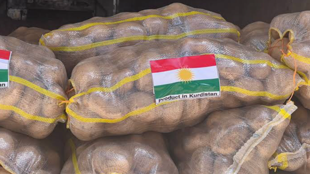 Herêma Kurdistanê, 250 ton kartol hinardeyê wî welatî dike