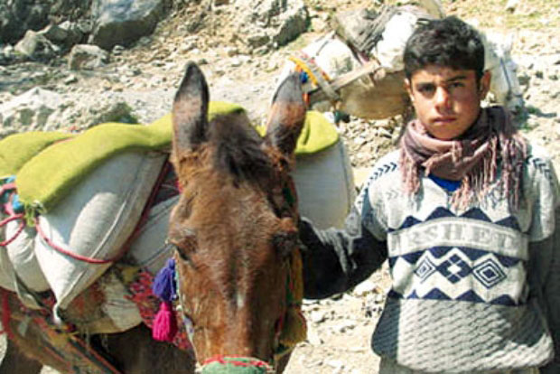 BANE - 2 Kolber ji aliyê hêzên Îranê ve hatin kustin