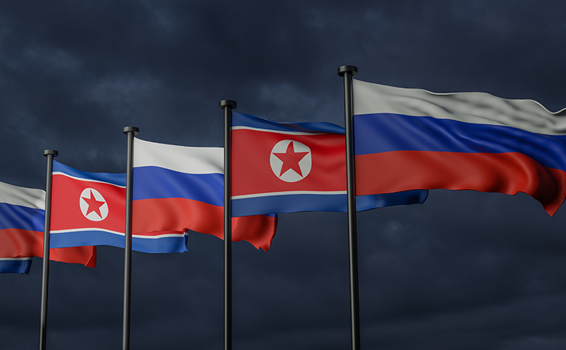 Îdia: Koreya Bakur, dest bi sandina çekan kir!