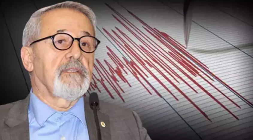 Nacî Gorur, erdheja Wanê nirxand