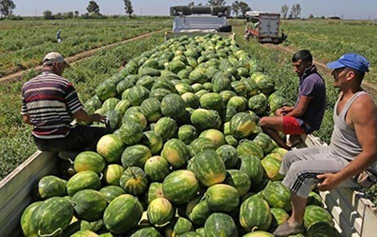 Iraqê hawirdekirina hin berhemên çandiniyê yên Îranê qedexe kir