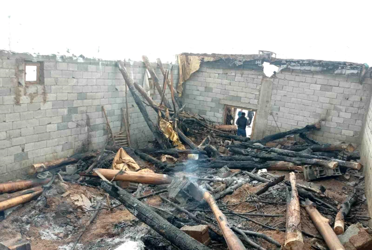 Agir bi axwurê ket û 180 heywan bi sewatê mirin