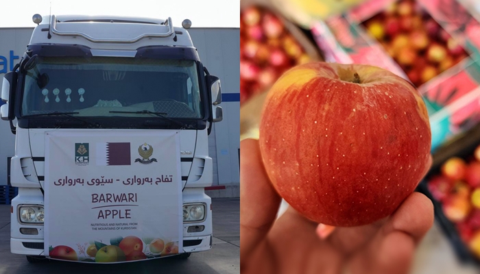 Sandina derveyî welat a sêvên Kurdistanê dest pê kir