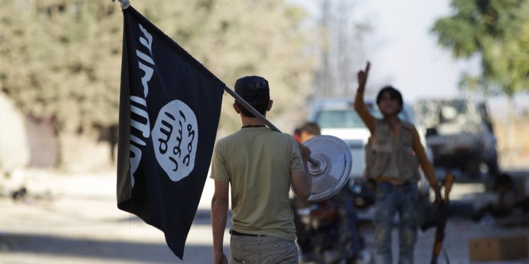 HSD 150 terorîstên welatiyên Fransayê disîne