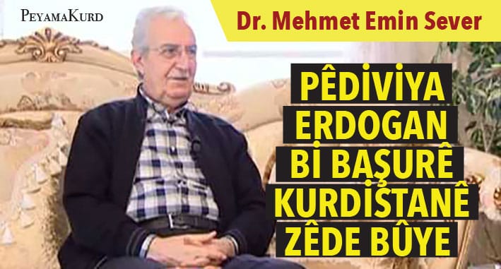 Sever: AKP derbeke mezin xwar, HDPê jî li Kurdistanê kêm kir