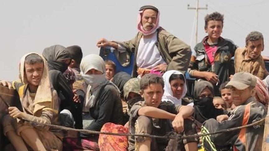 Nivîsgeha Rizgarkirin û Revandiyên Kurdên Êzidî amarên dawî eskere kir