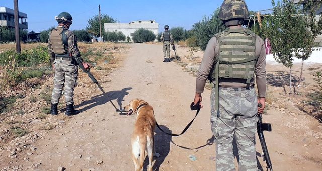 Wezareta bergiriyê ya Tirkiyê 18 kesên rejîmê girt