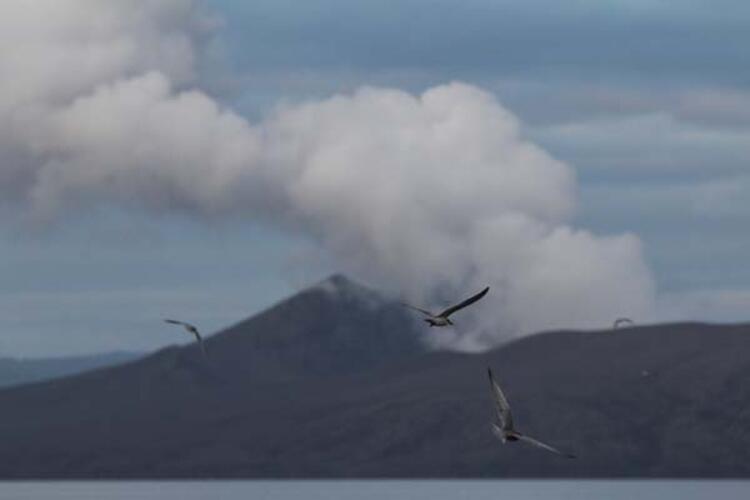 Berfa nû, bi ser berfa kevin de bariya