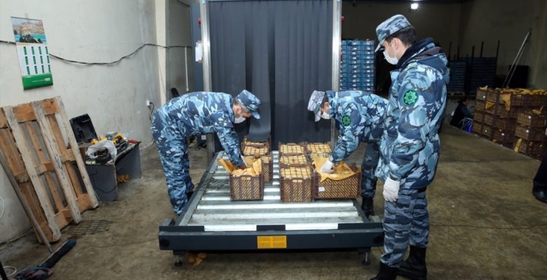 Tonekî maddeyên hisber har girtin