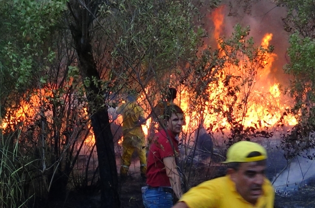Li Baykanê agir bi daristanê ket û belav dibe