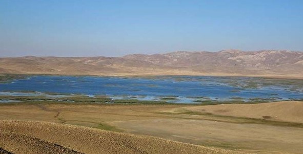 Gol a qralê Ûrartûyan ziwa bû