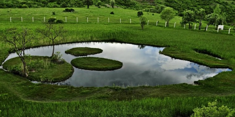 Gol a Qulinga ciyê gestiyaran e