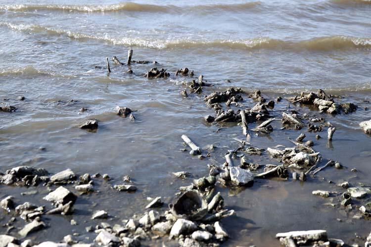 Ji Gol a Wanê hestiyên mirovan li qerexê avê dan