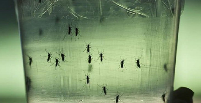 Ta ya Dangê li Sri Lankayê bû sedema 120 kes mirin