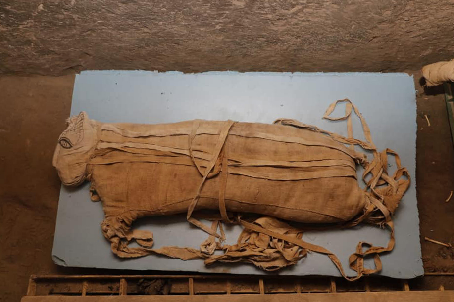 Li Misrê her diçe berhemên ji hev bi qedirtir tên dîtin