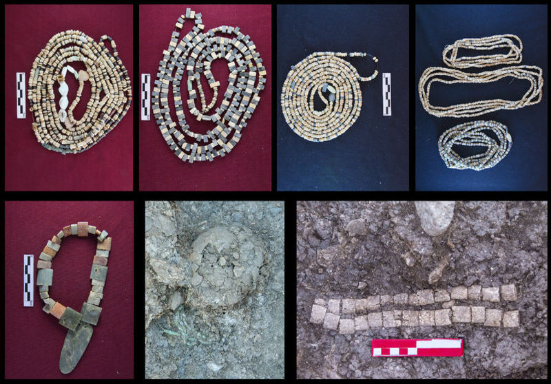 Zeviya bi morî, berhemên 12 hezar sal berê dihewîne