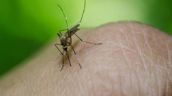 Jimara nexwesan ji 101 hezarî derbas bû