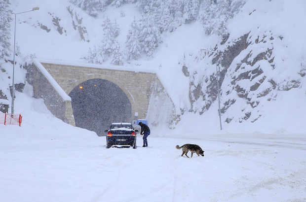 Di gulanê de berf dibare