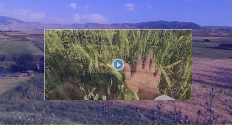 Ji Hikûmeta Kurdistanê vîdyoyeke ciwan bo Roja Cîhanî ya Hawîrparêziyê