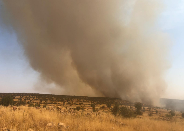 Li Çiyayê Bagokê sewateke mezin derket